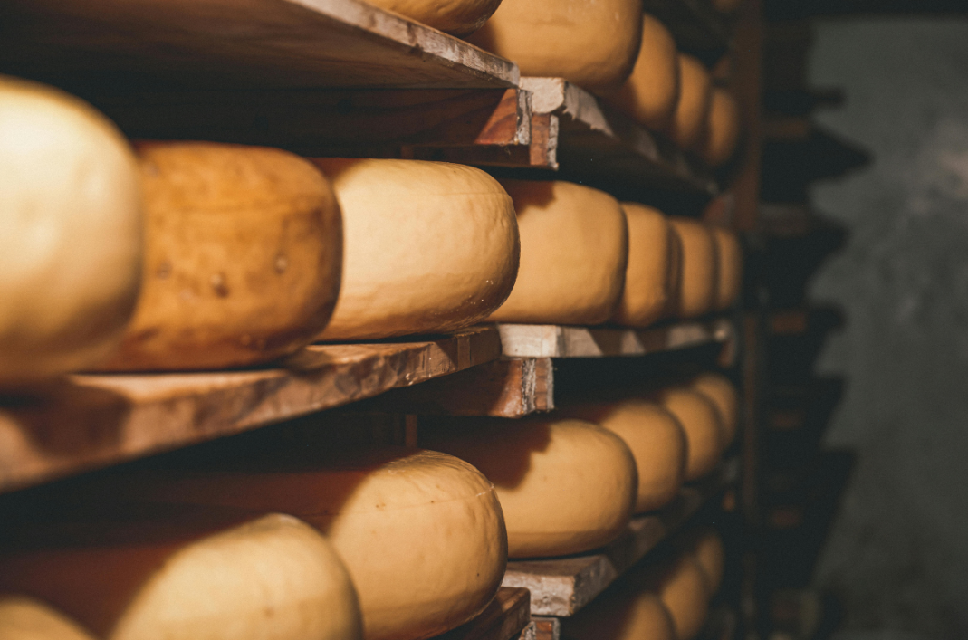 Formaggi e Caciotte Stagionate